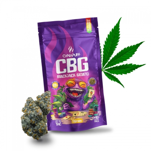 CBG cvjetovi Blackjack Gelato 69%